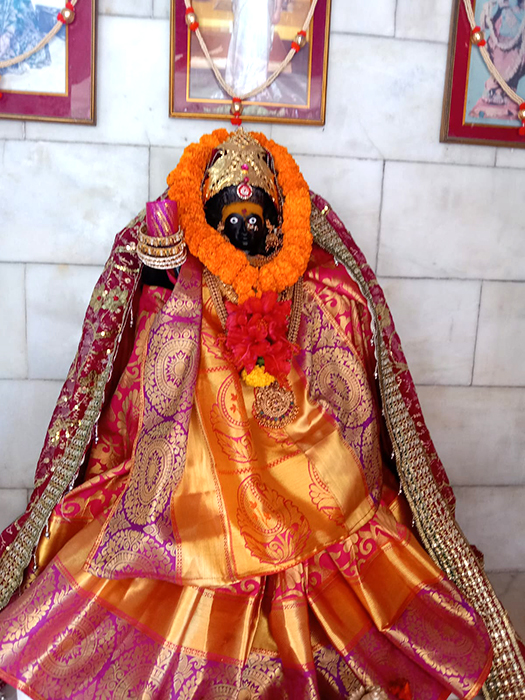 Shri Vishwajanani, Ranchi anniversary celebrated at Ranchi temple (27 Nov 2023)